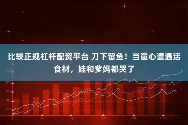 比较正规杠杆配资平台 刀下留鱼！当童心遭遇活食材，娃和爹妈都哭了