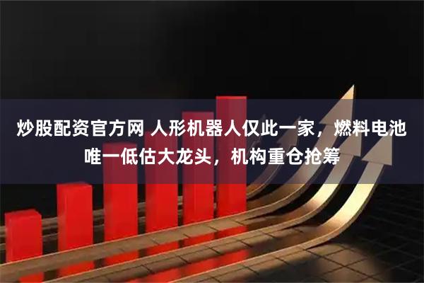 炒股配资官方网 人形机器人仅此一家，燃料电池唯一低估大龙头，机构重仓抢筹