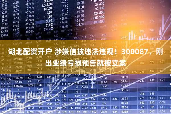 湖北配资开户 涉嫌信披违法违规！300087，刚出业绩亏损预告就被立案