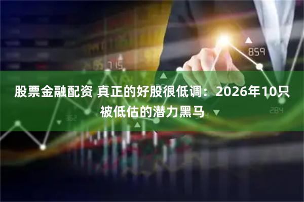 股票金融配资 真正的好股很低调：2026年10只被低估的潜力黑马