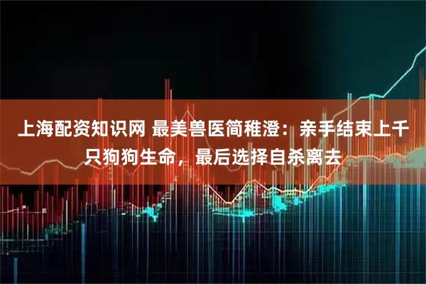 上海配资知识网 最美兽医简稚澄：亲手结束上千只狗狗生命，最后选择自杀离去