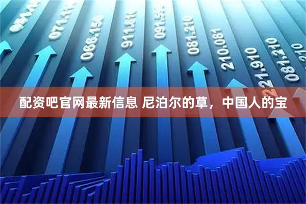 配资吧官网最新信息 尼泊尔的草,中国人的宝